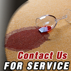 Contact Carpet Cleaning Company in California